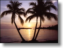 Cayman Sunset